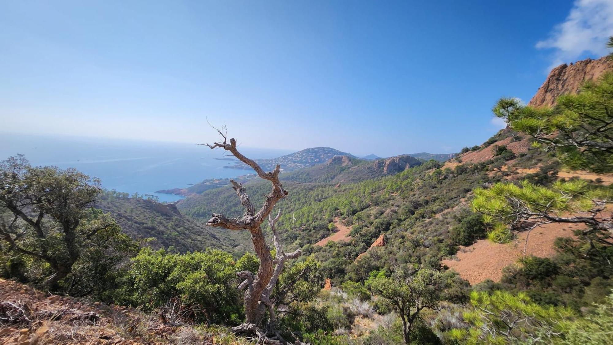 Saint-Raphael- Vue Mer Et Massif De L'Esterel Bagian luar foto